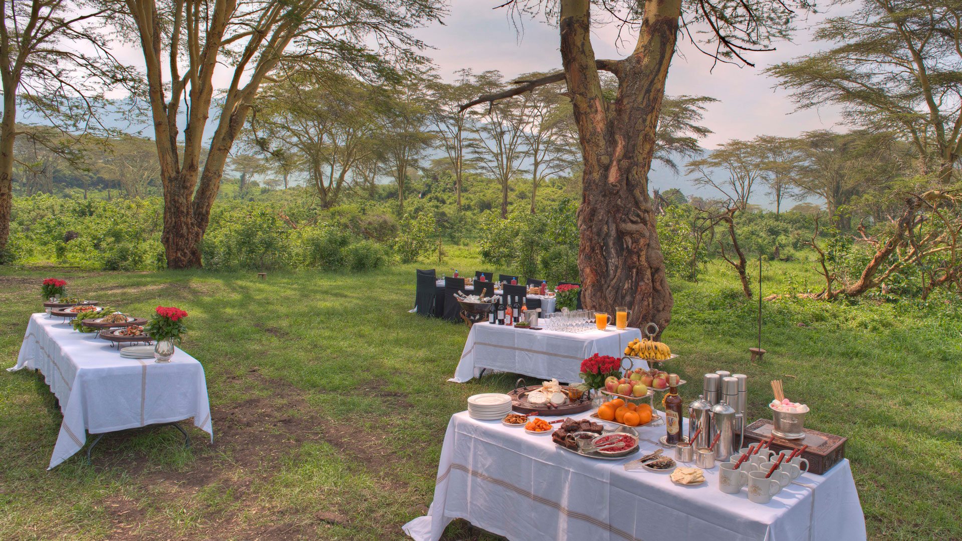 Traditional bush meal